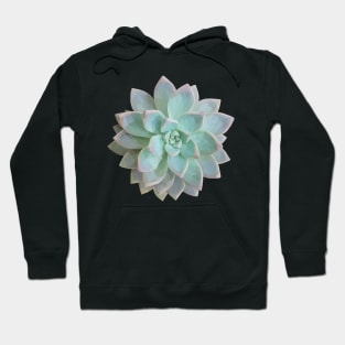 Low Poly Green Succulent Hoodie